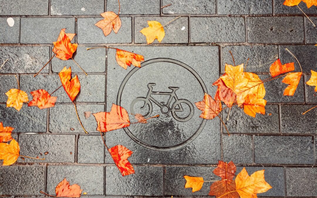 L&rsquo;automne à vélo : entretien, équipement et conseils Cyclorum