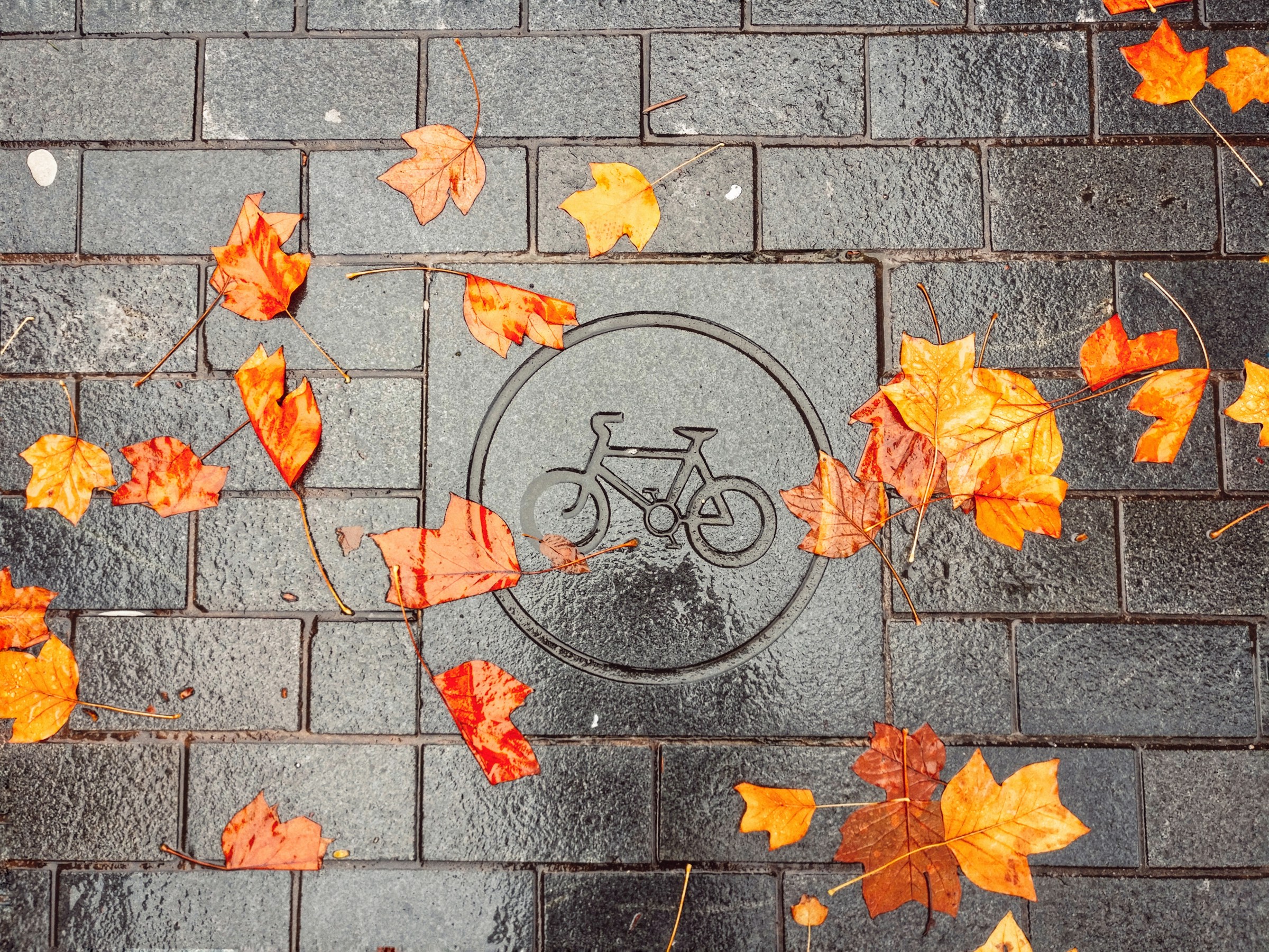 feuilles-erable-velo-automne Feuilles d'érable orange sur un pictogramme vélo au sol, ambiance automne